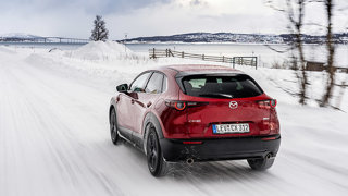 A ARTE DA CONDUÇÃO NO INVERNO